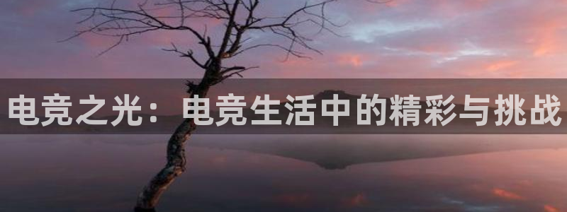 乐竞电竞竞猜官网