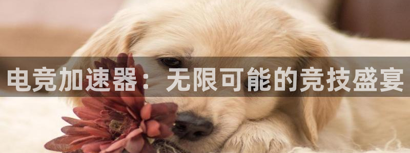 乐竞电竞下载入口：电竞加速器：无限可能的