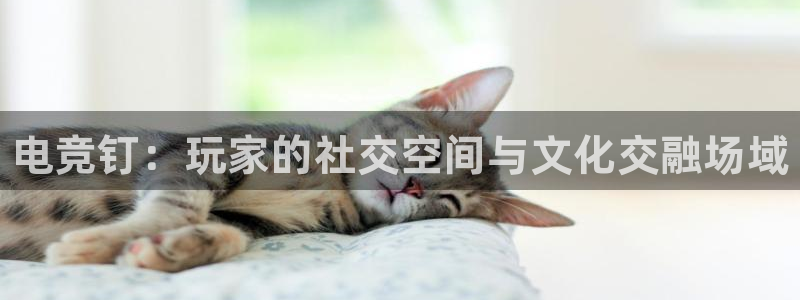 乐竞电竞官网蹿55kaivip