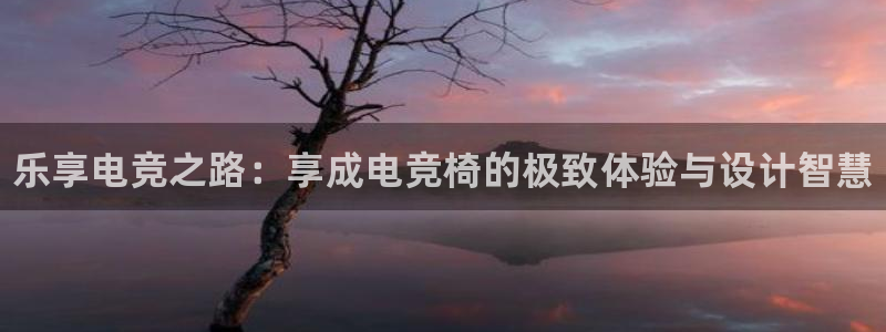 乐竞电竞维护多久：乐享电竞之路：享成电竞