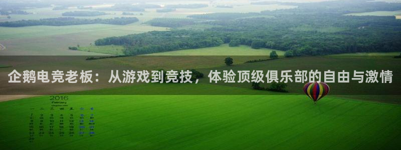 乐竞电竞订ly79丶cn：企鹅电竞老板：